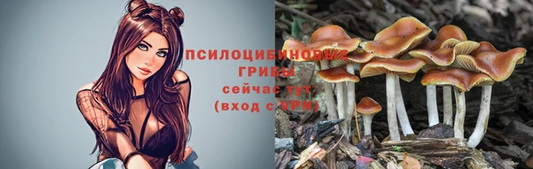 круглые Аркадак